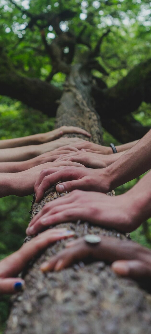 handen ondersteunen boomstam